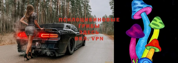 твердый Куйбышев