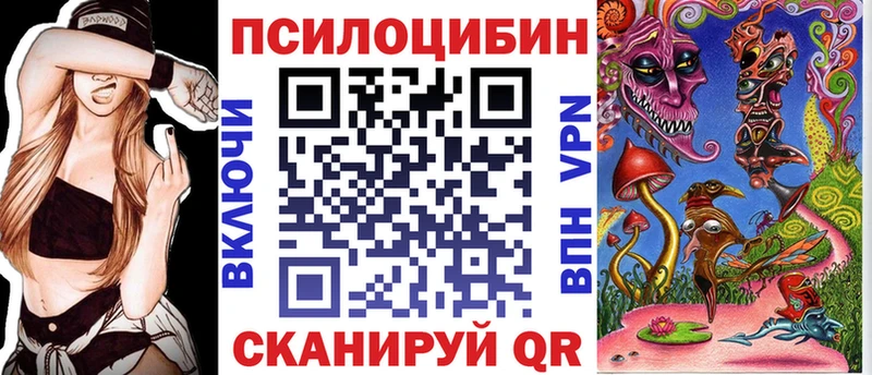 купить закладку  Бузулук  Псилоцибиновые грибы Psilocybe 